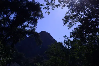 DSC_2055 (Large).JPG